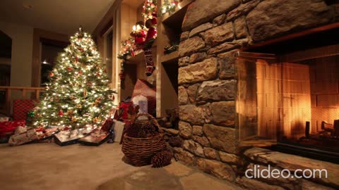 The most beautiful Christmas tree and the best gifts