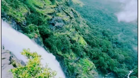 Beautiful View Of Forest Over Of Mountain