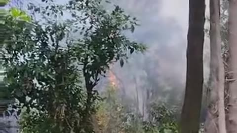 incendio forestal en el barrio Cristal Alto, en el sur de Bucaramanga.