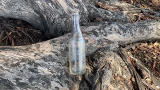 Metal Detecting Bottles Part4