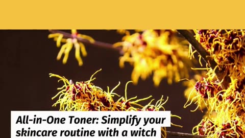 Witch Hazel for Skincare