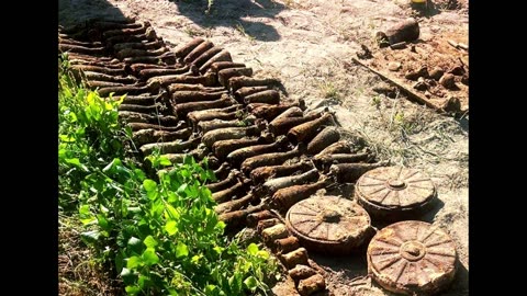 A resident of Zhytomyr was digging potatoes, and dug up 85 mines