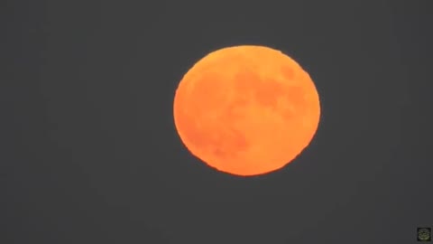 THE MOON RISING OUT OF ITS ATLANTIC OCEAN PORTAL . #SHARETHIS