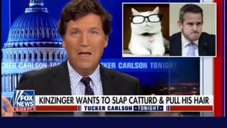 Adam Kinzinger vs CatTurd with Tucker Carlson