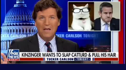 Adam Kinzinger vs CatTurd with Tucker Carlson