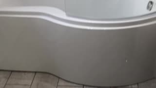 P shape shower bath in family bathroom