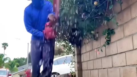 SATISFYING gardening