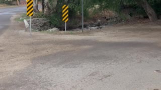 Flash Flood in Globe, Arizona