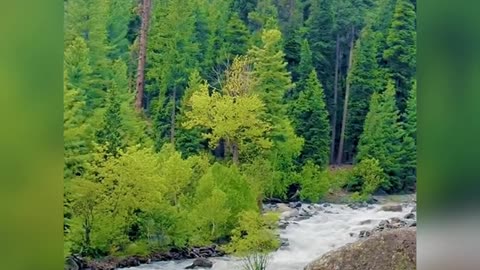 Mansehra Beauty's View KPK Pakistan