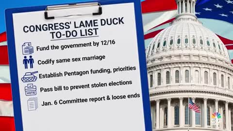 DEMOCRATS HAVE FULL PLATE DURING LAME DUCK SESSION