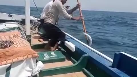 Handline fishing balochstan