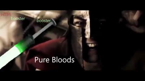 Pure Bloods VS Propaganda