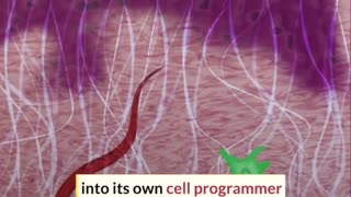 New nanochip can reprogram cells directly in your body !! #nanochip (2022)