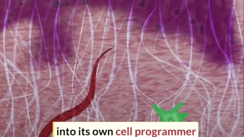 New nanochip can reprogram cells directly in your body !! #nanochip (2022)