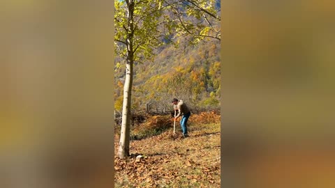 Hermits Cooking Delicious Beef Tongue High in the Mountains! ASMR Relaxing Outdoor Cooking