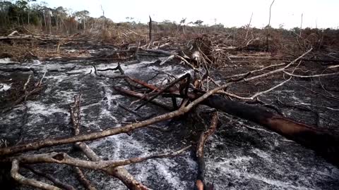 Mexico's Mennonites: God's work or environmental disaster?