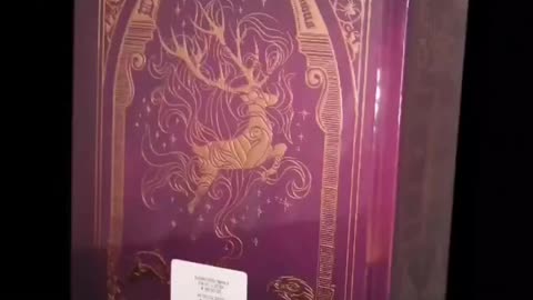 Quick Look: NEW German Harry Potter All In One Book #harrypotter #bookcollecting #wizardingworld