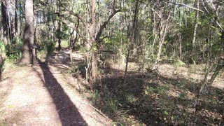 Ocala/Belleview Florida Santos Devo Trail Hike Tour
