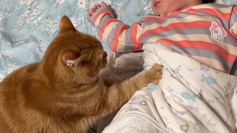 Kitty Massages Sleepy Child