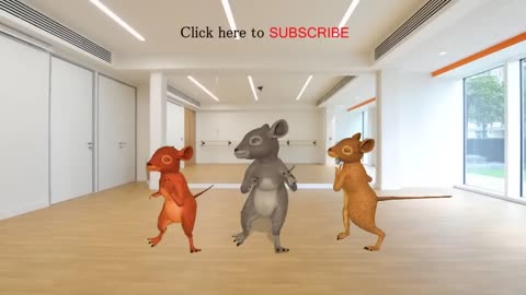 The most entertaining cousin Rats dance ever