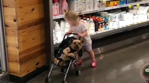 Shopping with My Little Helper: Join @thelionsmama and Her Adorable Dog for Grocery Run Fun!