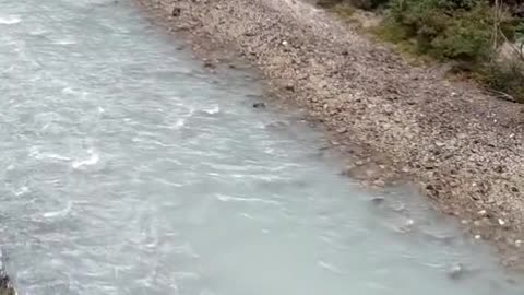 Aareschlucht footage