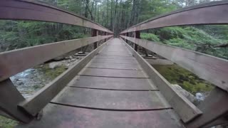 Foot Bridge