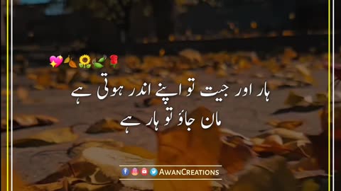 Haar Aur Jeet | Urdu Post | Status Video | Awan Creations