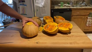 Garden Harvest 9/29/21: Seminole pumpkins!!