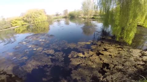 Pike fishing in Weedy Lakes-4