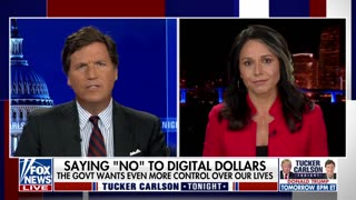 Tulsi Gabbard issues warning: This is about surveillance and control