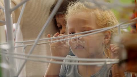 Curious girl looking at ball machine exhibit in science center