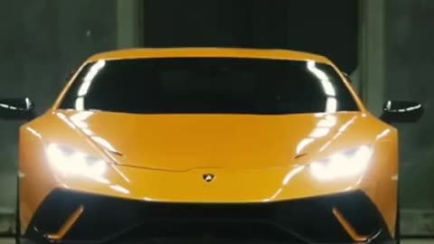 "Mystirious" Lamborghini Yellow Collor Action