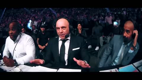 UFC 281_ Адесанья vs Перейра - Превью