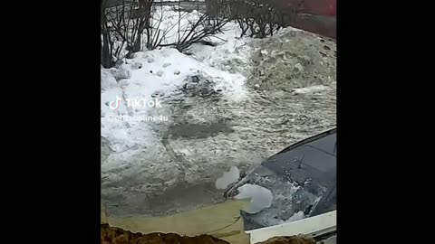 Snow Fails