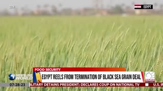 Egypt reels from termination of Black Sea grain deal