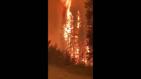 Eco Terrorism - 2023 Canadian Fires Burn It To The Ground