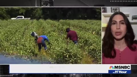 Immigrant workers in Flourida