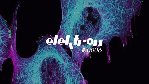 ALLAIN RAUEN elektron #0006