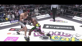 Japanese MMA Fighter ASAKURA vs Boxing Champion MAYWEATHER, Knockout HIGHLIGHT Moments, SLOW MOTION