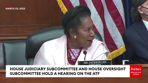 'Used To Perpetrate Horrific Acts Of Violence'- Sheila Jackson Lee Calls For Gun Brace Regulations