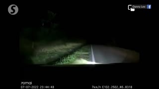 Malaysia: Car rams into tiger on dark Kelantan road | The Star/Asia News Network