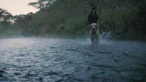 Dog and owner playing with a ball in a creek