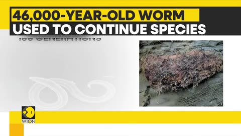 Serbia_ 46,000 year old worm broke dormancy records _ Latest World News _ WION