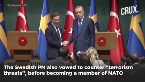 Russia Ukraine War | Turkey President Erdogan Demands "Concrete Steps" To Support Sweden's NATO Bid