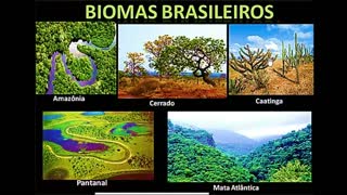 Biomas Brasileiros - MinhaEscolaWeb