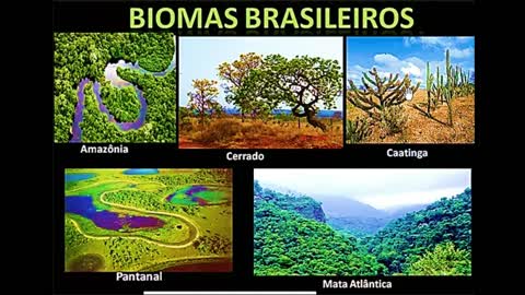 Biomas Brasileiros - MinhaEscolaWeb