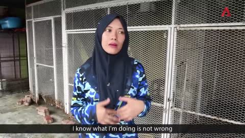 Meet the Malaysian couple fighting social stigma against dogs by rescuing injured animals