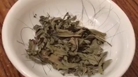 Abu Dhabi Dried Mint Leaves Recipe Hairy 12042023 🆂🆄🅱🆂🅲🆁🅸🅱🅴 ⚠️Viewer discretion is advised⚠️