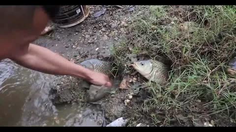 #Sea#Fishing#River#Fish Fishing Lakes Rivers Part VI